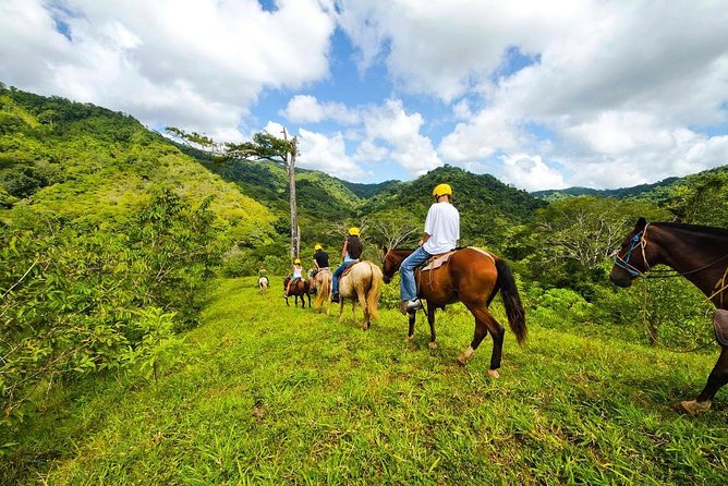 Rainforest Magic Horseback Riding Waterfall Tour Private Park Setting - Wildlife sightings require luck and patience
