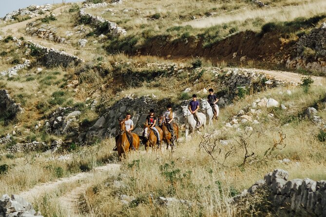 Ranch 22 Podstrana, " Horse riding 12 km from SPLIT " - Meeting the Horses and Your Guide