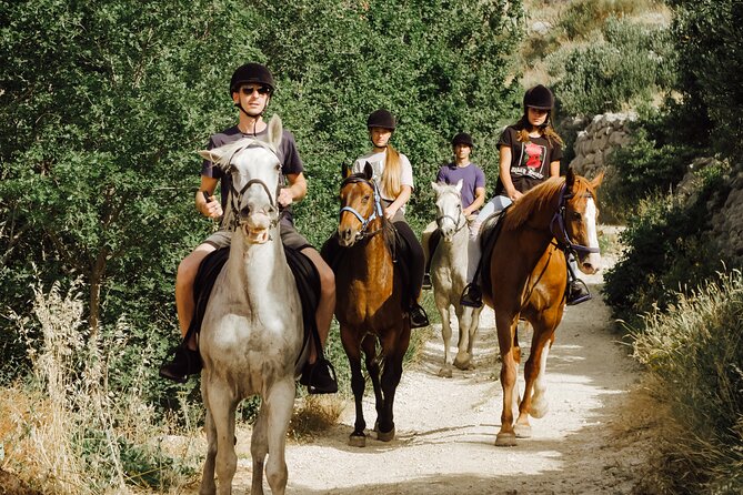 Ranch 22 Podstrana, " Horse riding 12 km from SPLIT " - Timing, Weather, and Cancellation Rules