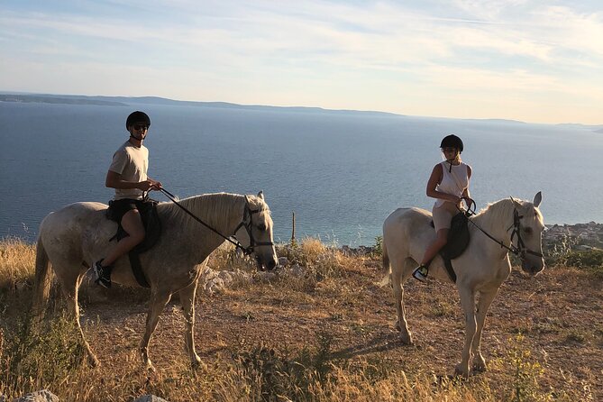 Ranch 22 Podstrana, " Horse riding 12 km from SPLIT " - Who Should Book This Ride?