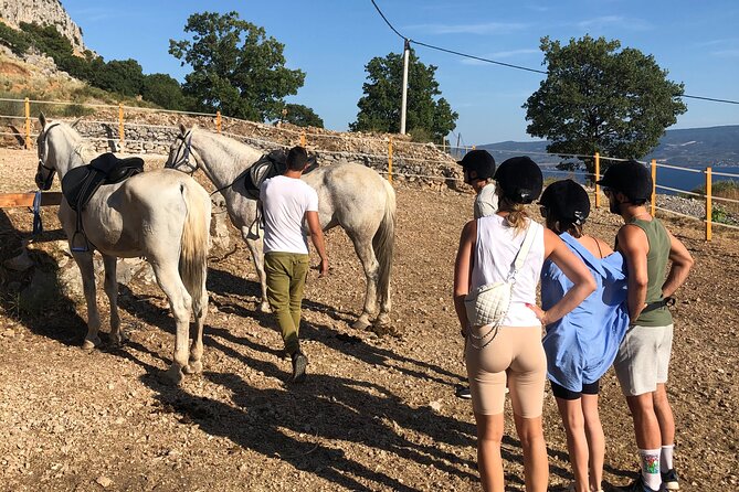 Ranch 22 Podstrana, " Horse riding 12 km from SPLIT " - The Payoff: Split and the Adriatic Islands Below