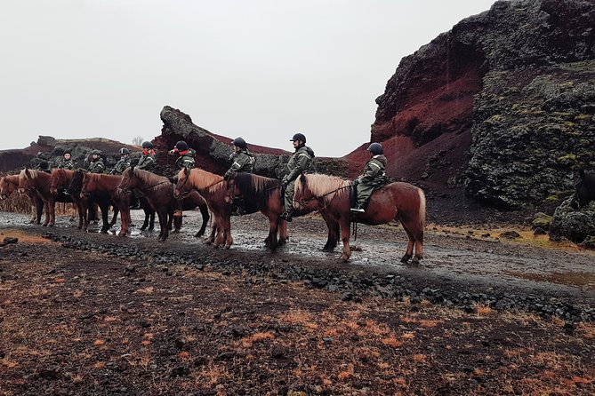 Red Lava Horse Riding Tour From Reykjavik - Who will enjoy this ride most