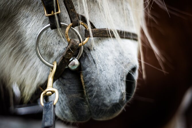 Red Lava Horse Riding Tour From Reykjavik - Getting ready at Solhestar