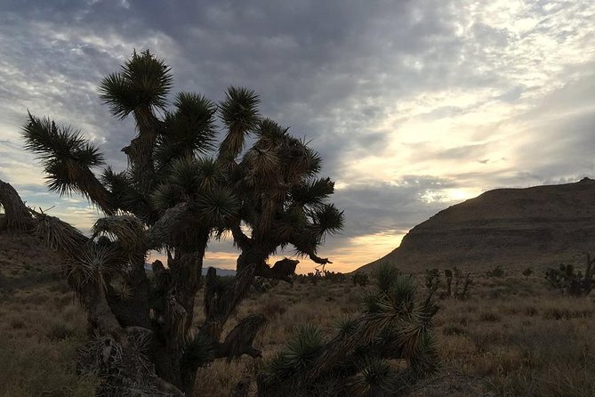 Red Rock Canyon Sunset Horseback Ride and Barbeque Dinner - Getting matched with a horse or mule