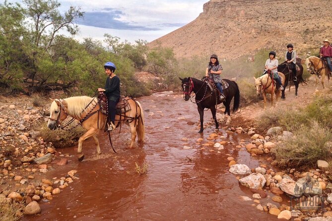 Red Rock Canyon Sunset Horseback Ride and Barbeque Dinner - A fireside barbecue after the trail