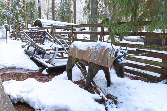 Reindeer Park & Horse Stables Safari - Winter, weather, and practical comfort