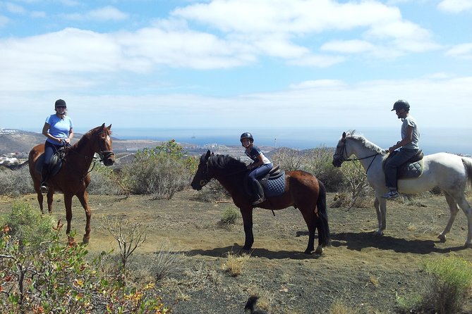 Relaxing Horse Riding Tour in Gran Canaria - Starting with the horses and the basics