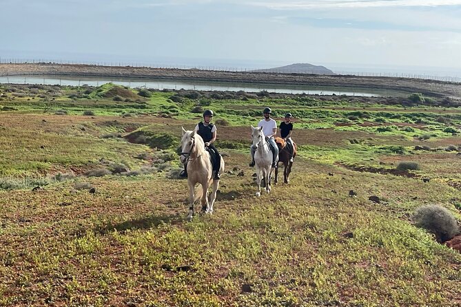 Relaxing Horse Riding Tour in Gran Canaria - A calm ride rather than a fast one