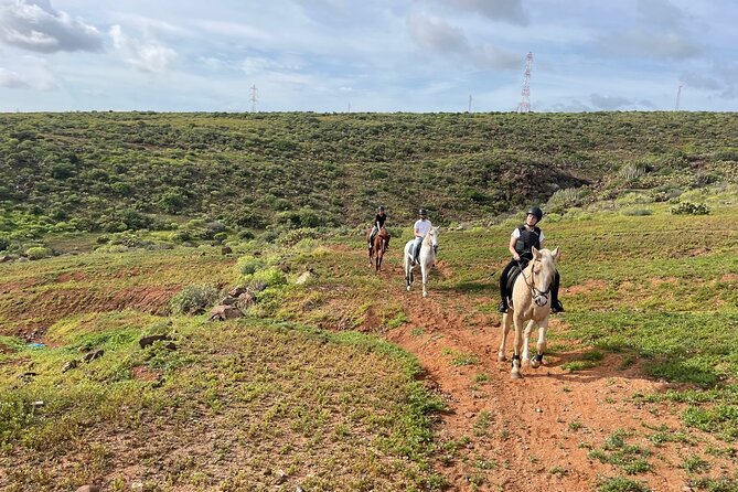 Relaxing Horse Riding Tour in Gran Canaria - Why the small group matters