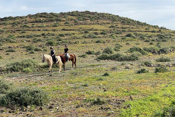 Relaxing Horse Riding Tour in Gran Canaria - Horses, equipment, and rider comfort
