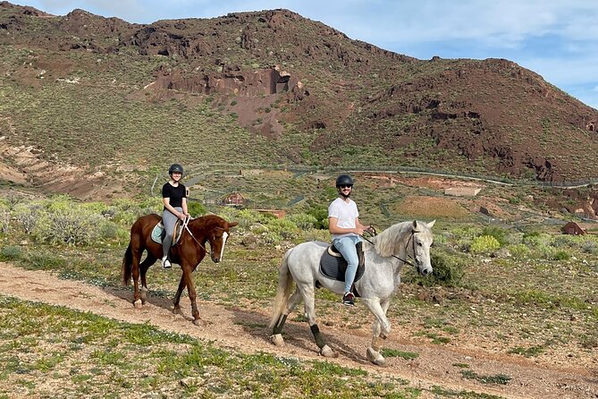 Relaxing Horse Riding Tour in Gran Canaria - Best fit for families and first-time riders