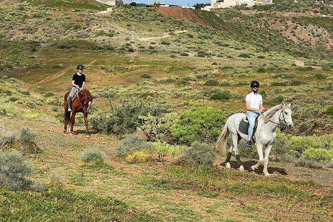 Relaxing Horse Riding Tour in Gran Canaria - Booking, weather, and timing tips