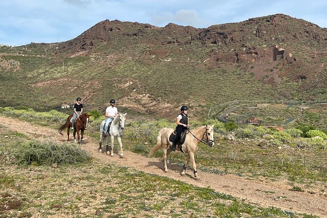 Relaxing Horse Riding Tour in Gran Canaria - Sea views, mountain country, and Cuatro Puertas