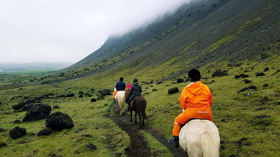 Reykjadalur: Horseback Riding Tour for Families & Beginners - What the strongest parts feel like