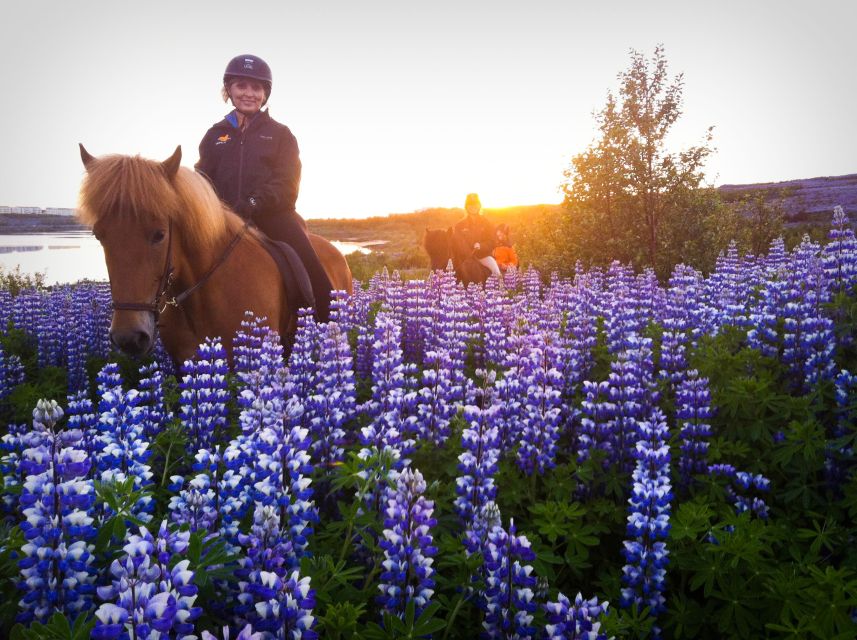 Reykjavik: Evening Sleipnir Horse Riding Tour with Pickup - Riding through Hólmsheiði and Stallion Valley
