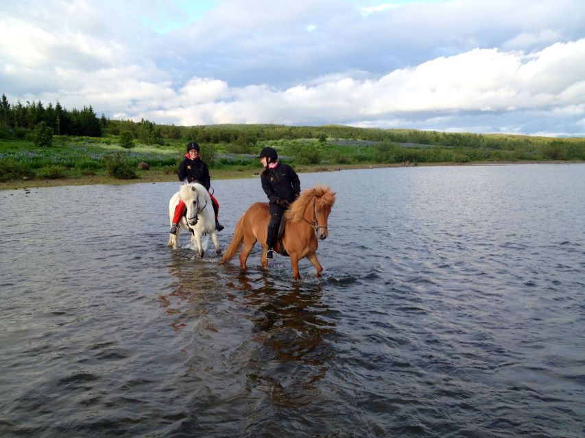 Reykjavik: Evening Sleipnir Horse Riding Tour with Pickup - Hot drinks, kleina, and a friendly finish