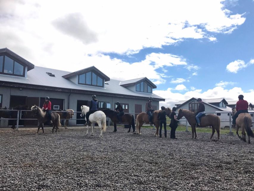 Reykjavik: Evening Sleipnir Horse Riding Tour with Pickup - Who should book this ride