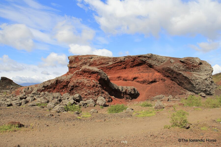 Reykjavík: Horse Riding Tours - From Reykjavík to the Redhill riding grounds