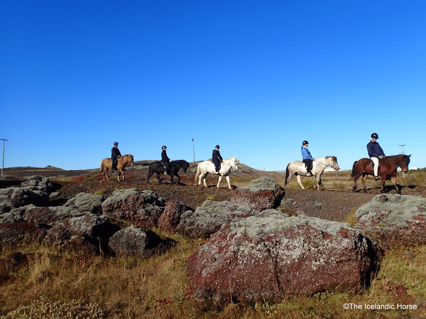 Reykjavík: Horse Riding Tours - Why the Icelandic horse changes the experience