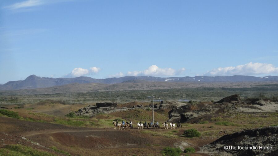Reykjavík: Horse Riding Tours - Weather, clothing, and the realities of riding outside