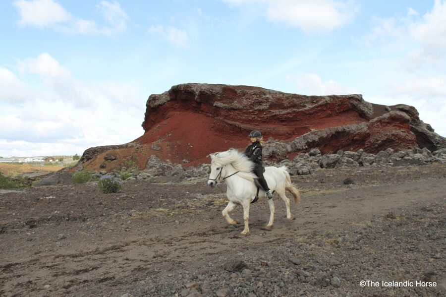 Reykjavík: Horse Riding Tours - Practical details that make the day easier