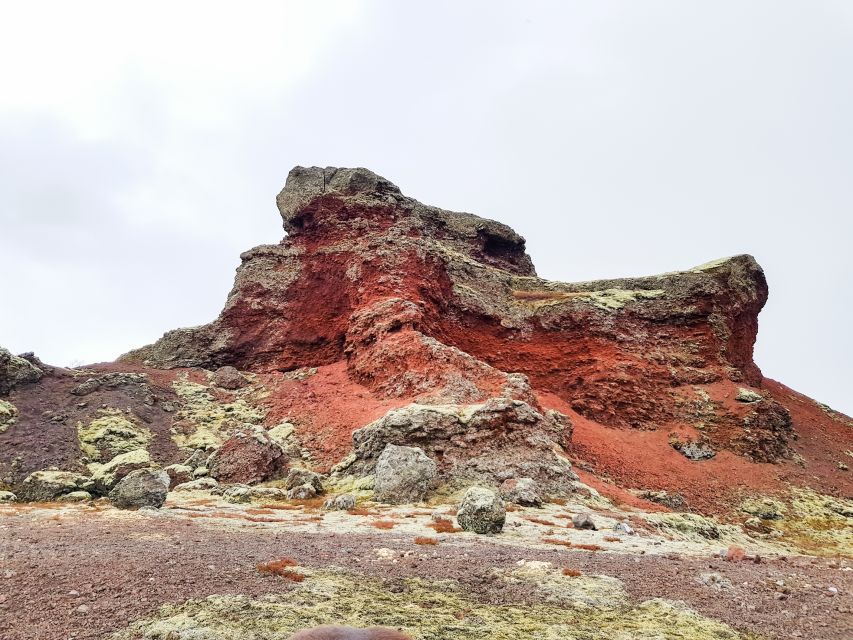 Reykjavik: Red Lava Horse Riding Tour - Meeting the horses and choosing your route