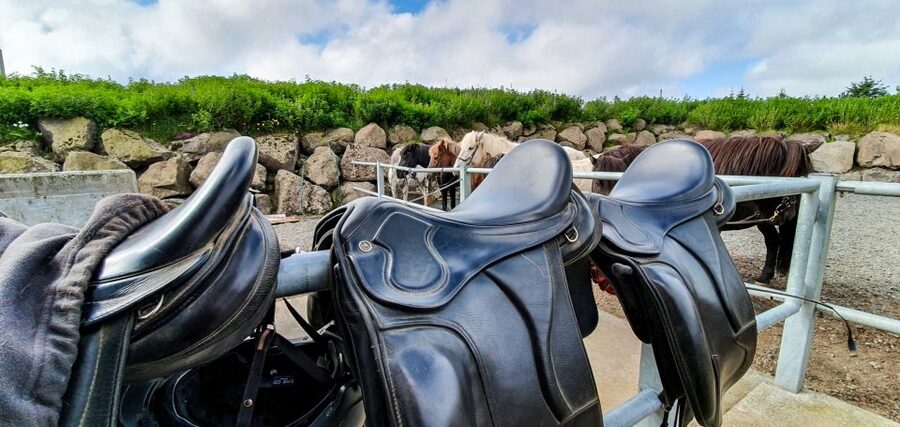 Reykjavik: Red Lava Horse Riding Tour - How the ride feels for beginners