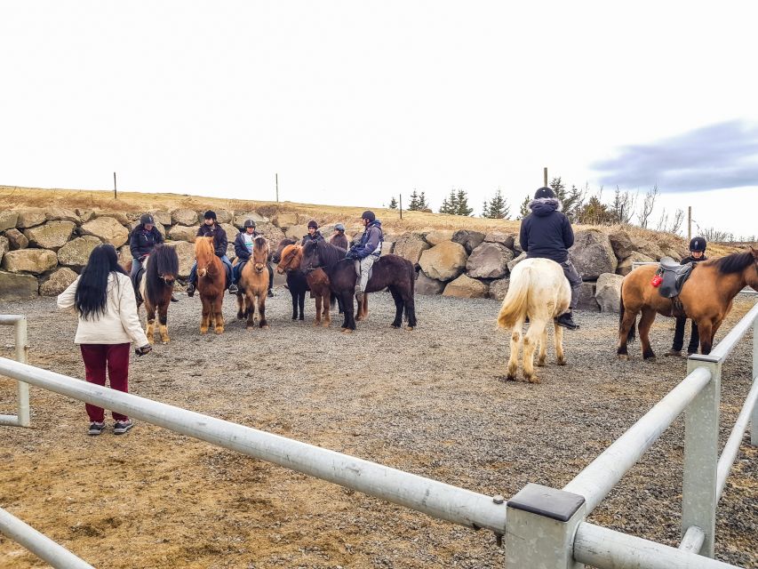 Reykjavik: Red Lava Horse Riding Tour - Is $142 a fair price?