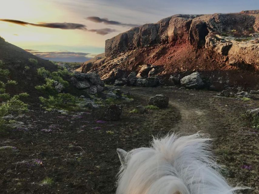 Reykjavik: Small-Group Horse Volcano Riding Tour with Pickup - Pickup, arrival, and meeting your horse