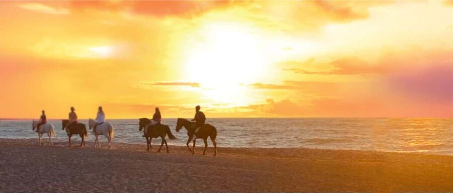 Rhodes Island: Horseback Riding at the Beach During Sunset - A sunset ride built around calm, not speed