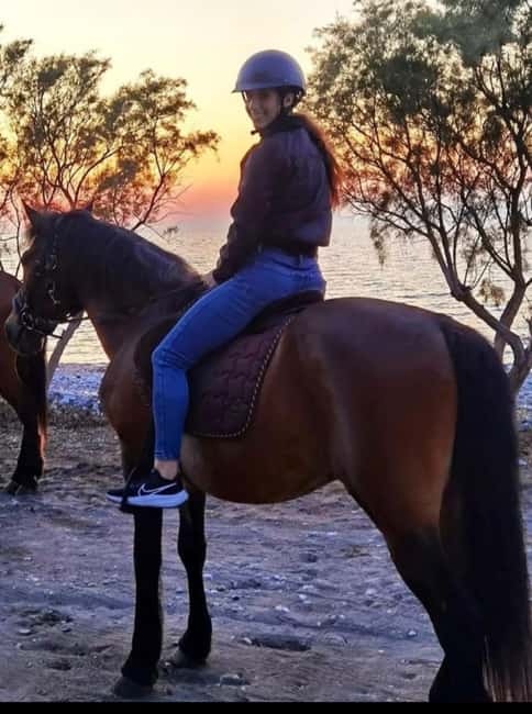 Rhodes Island: Horseback Riding at the Beach During Sunset - Finding the horses beneath the trees