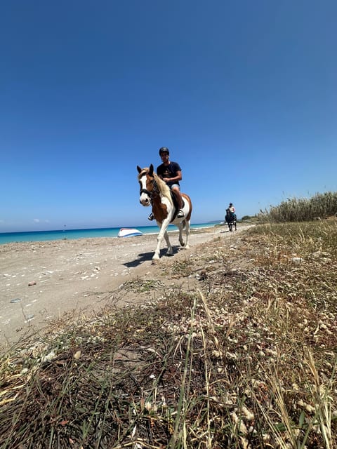 Rhodes: Seaside Horseback Riding Experience - Key points to know before booking