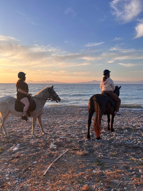 Rhodes: Seaside Horseback Riding Experience - Why beginners tend to feel comfortable