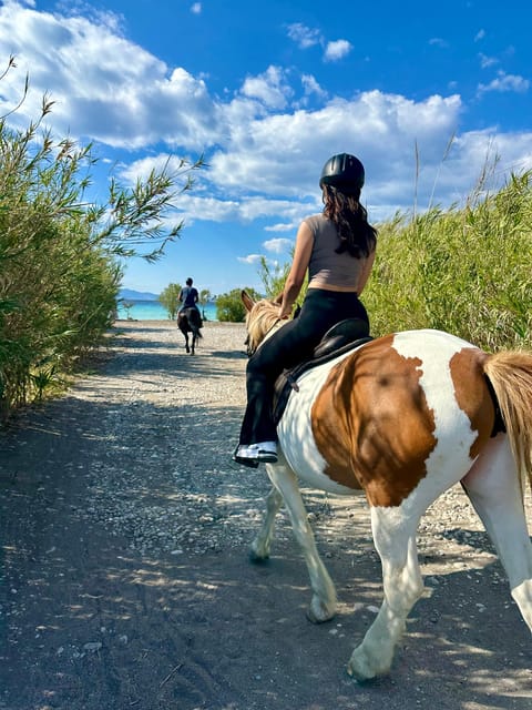 Rhodes: Seaside Horseback Riding Experience - Experienced riders should adjust expectations