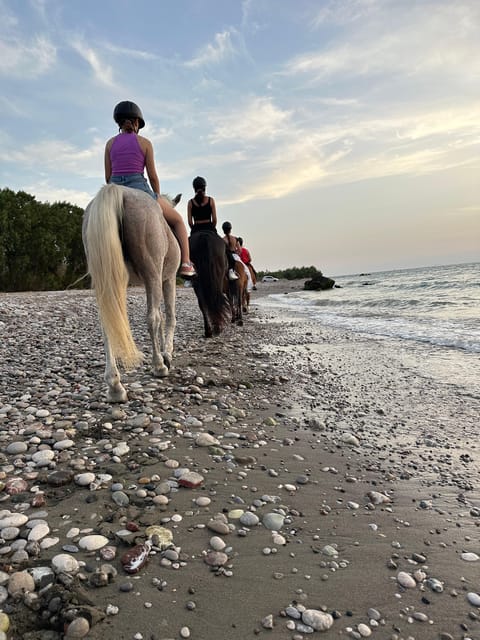 Rhodes: Seaside Horseback Riding Experience - What the $94 price includes