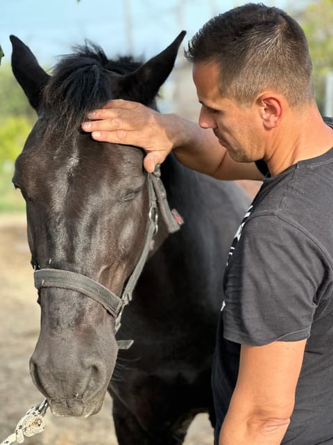 Rhodes: Seaside Horseback Riding Experience - Timing, transfers, and what to bring