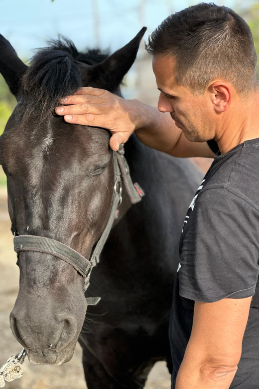 Rhodes: Seaside Horseback Riding Experience - Who should book this seaside ride