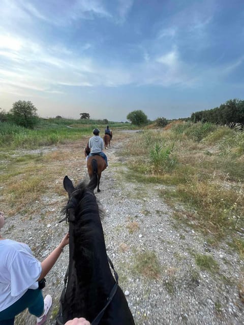 Rhodes: Seaside Horseback Riding Experience - Practical booking advice