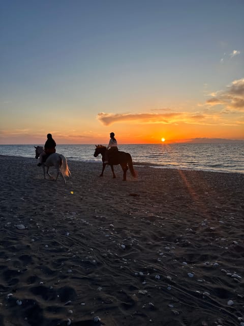 Rhodes: Seaside Horseback Riding Experience - The beach section is the real payoff
