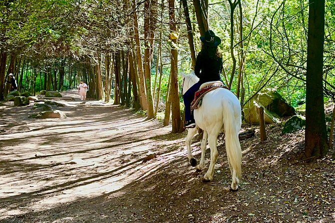 Ride Horses, Learn to Cook with Locals in Mexico City - From Condesa to a village home