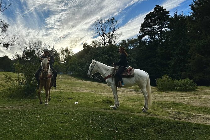 Ride Horses, Learn to Cook with Locals in Mexico City - A meal with a personal touch