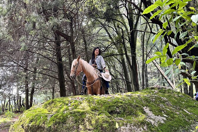 Ride Horses, Learn to Cook with Locals in Mexico City - The return ride takes about 40 minutes