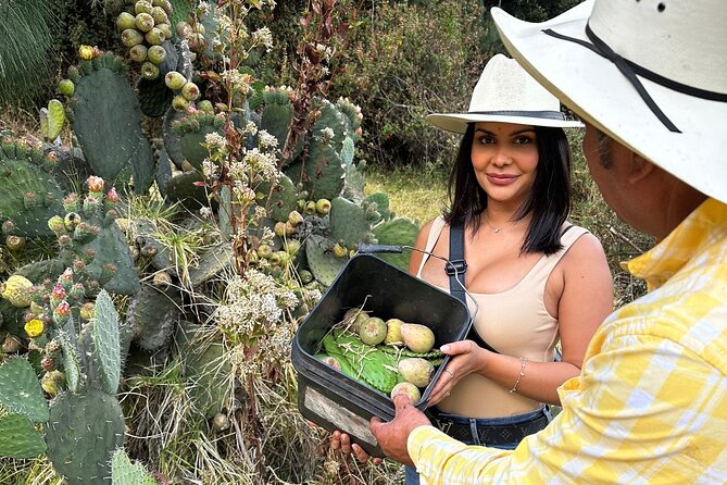 Ride Horses, Learn to Cook with Locals in Mexico City - Who will get the most from this experience