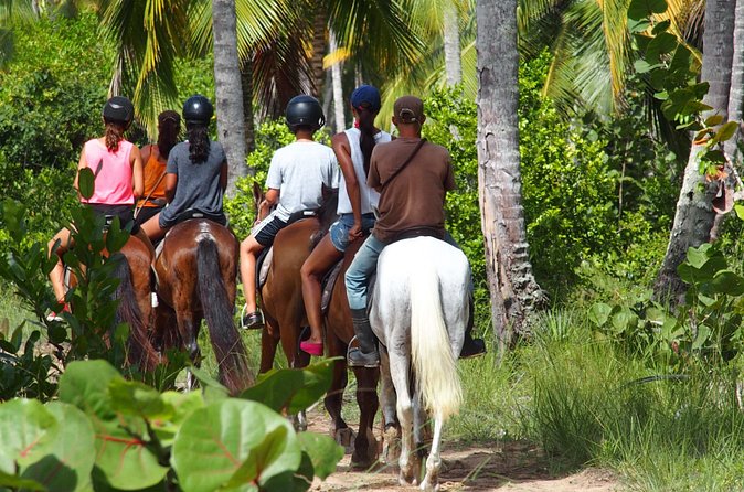 Ride Horses on the Beach - Booking, cancellation, and useful preparation