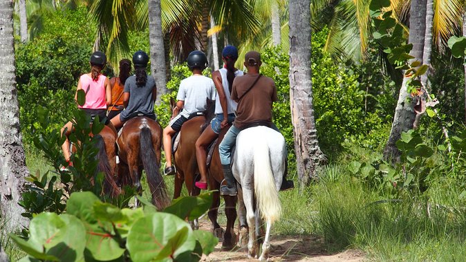 Ride Horses on the Beach - Reaching Alleman Beach on horseback