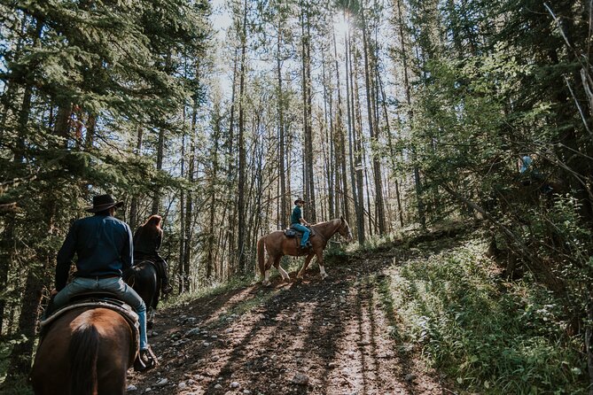 Ridge Ride 2-Hour Horseback Trail Ride in Kananaskis - Starting at Boundary Ranch