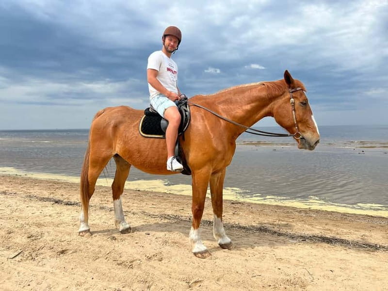 Riga Horse Riding tour along the Beach - Walking through pine forest and sand dunes