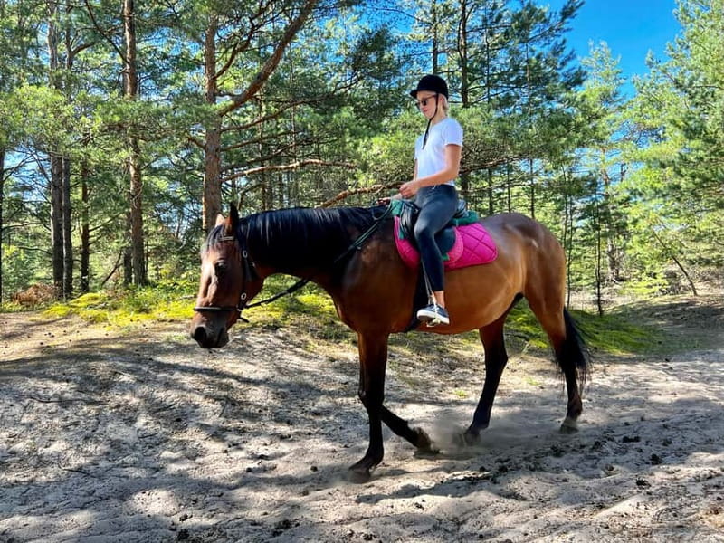 Riga Horse Riding tour along the Beach - Who will enjoy this ride most