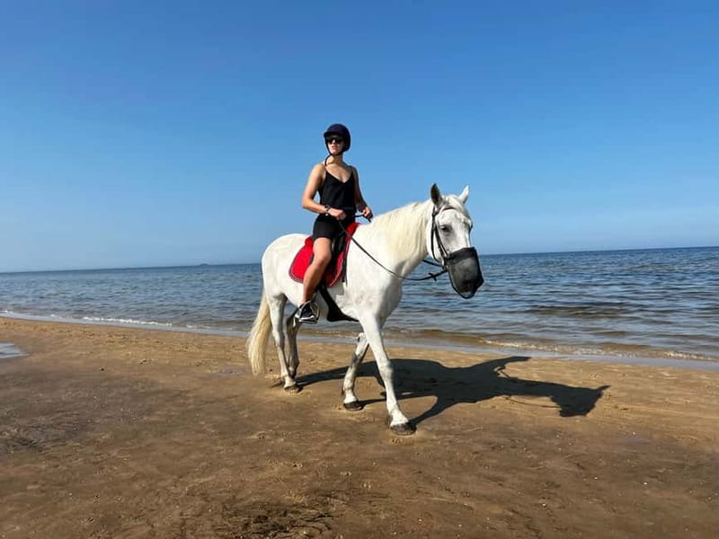 Riga Horse Riding tour along the Beach - Photos, animal feeding, and the small extras