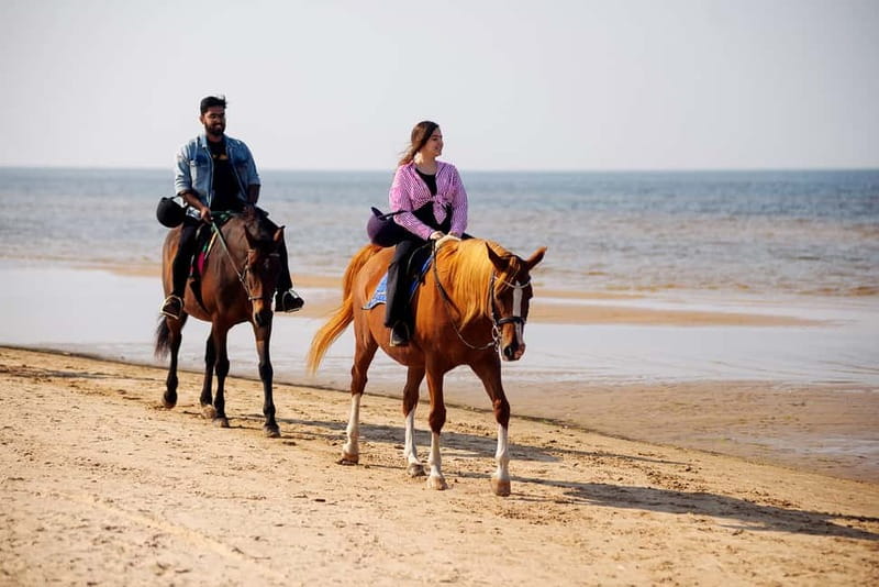 Riga Horse Riding tour along the Beach - Meeting the horses and receiving your introduction